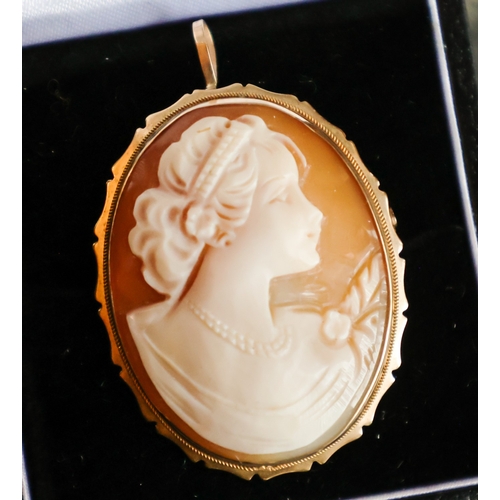 59 - Nine Carat Yellow Gold Bound Ladies Cameo Pendant with Brooch Pin Verso Dual Purpose Cameo Approxima... 
