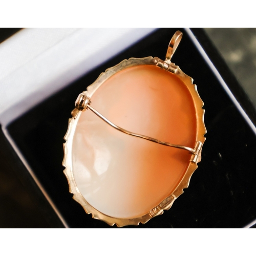 59 - Nine Carat Yellow Gold Bound Ladies Cameo Pendant with Brooch Pin Verso Dual Purpose Cameo Approxima... 