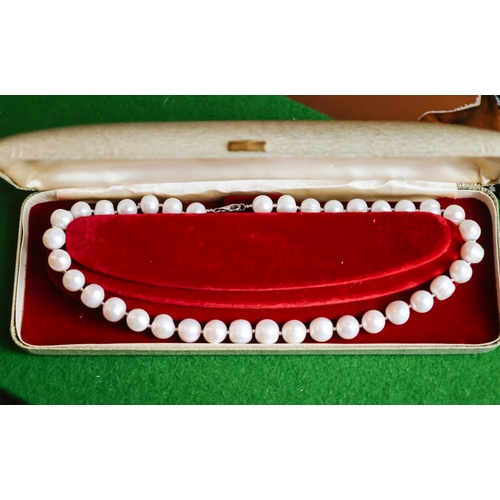 66 - Ladies Pearl Necklace of Attractive Graduated Form Silver Clasp 46cm Long