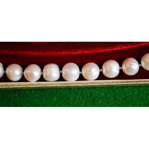 66 - Ladies Pearl Necklace of Attractive Graduated Form Silver Clasp 46cm Long