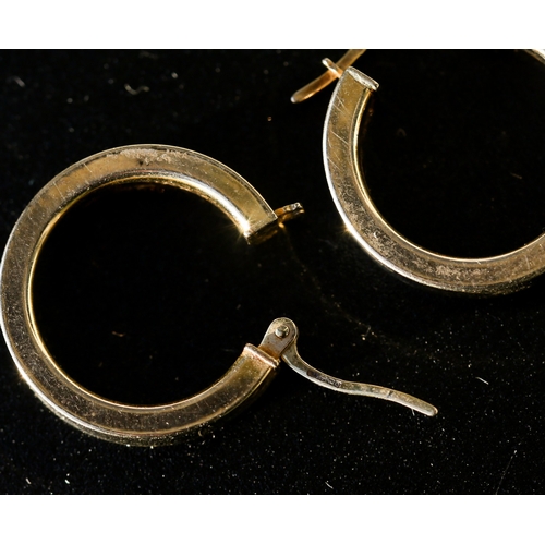 24 - Pair of 9 Carat Yellow Gold Hoop Earrings 2cm