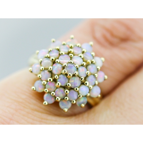 3 - Attractively Detailed Opal Cluster Set Ring Mounted in 9 Carat Yellow Gold Ring Size K