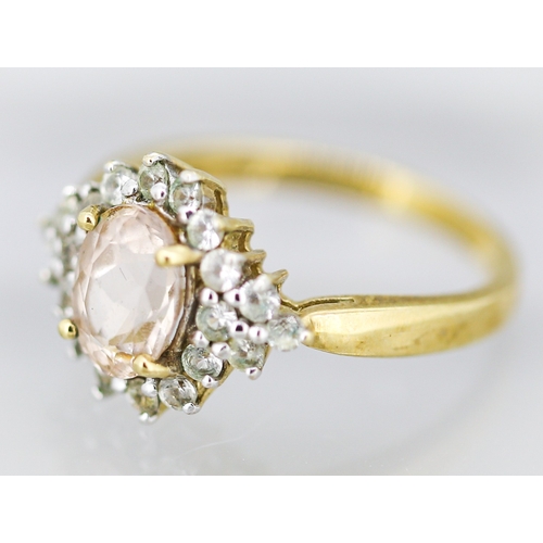 9 - Attractively Detailed Morganite Set Ring with Gemset Cluster Set Surround Mounted in 9 Carat Yellow ... 
