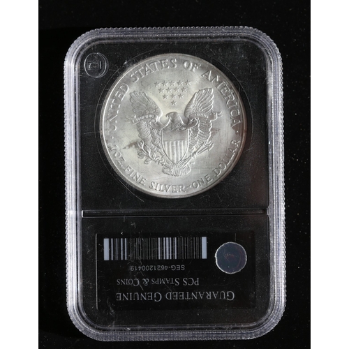 23 - Fine Silver American Eagle 1 Ounce Dollar Coin Unites States of America 2004 Encapsulated