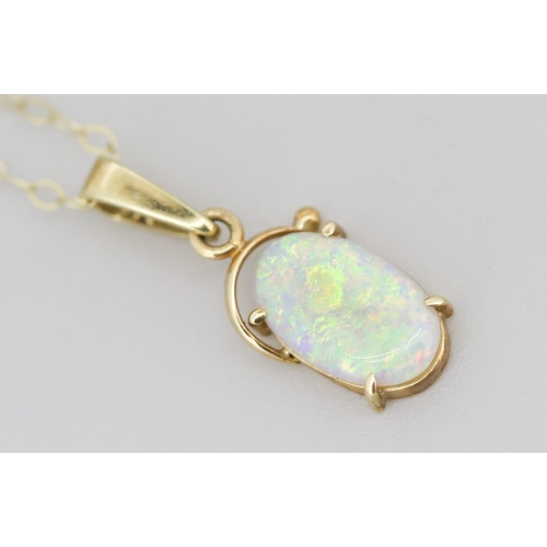 51 - Opal Single Stone Set Pendant Mounted in 9 Carat Yellow Gold 1cm, Set on 9 Carat Yellow Gold Chain 4... 