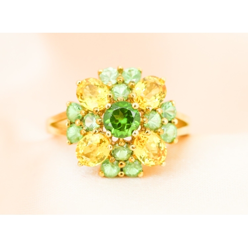 47 - Finely Detailed Yellow Sapphire and Green Tsavorite Garnet Set Cluster Ring, Mounted in 9 Carat Yell... 