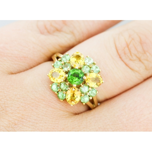 47 - Finely Detailed Yellow Sapphire and Green Tsavorite Garnet Set Cluster Ring, Mounted in 9 Carat Yell... 