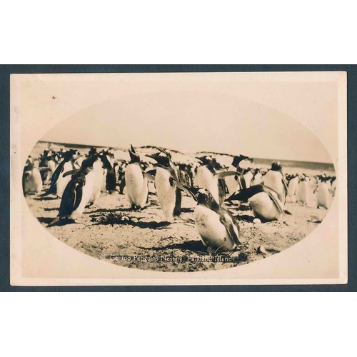 83 - Foreign. Misc. coln. Falklands, St. Helena, Madeira, Canary Islands, Malta, San Marino, Monaco and L... 