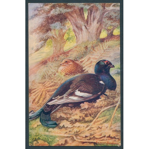 110 - Publishers. Tuck. 4 modern and 1 small album. Subjects incl. rural, military, overseas, royalty, com... 