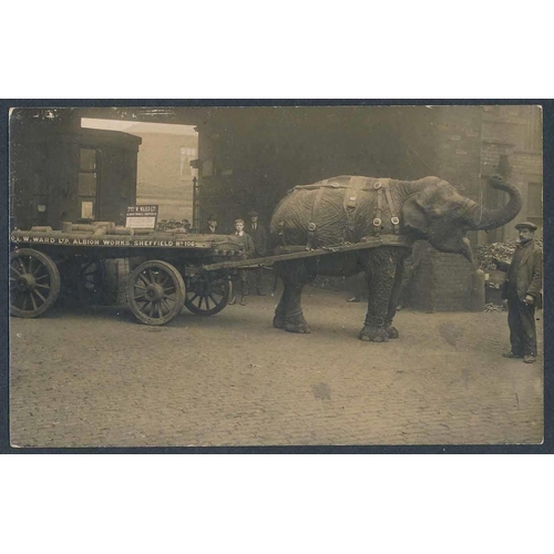 119 - Yorkshire. Sheffield. Valuable coln. with better RPs throughout. Carbrook Hall Hotel, Tank Fitzalan ... 