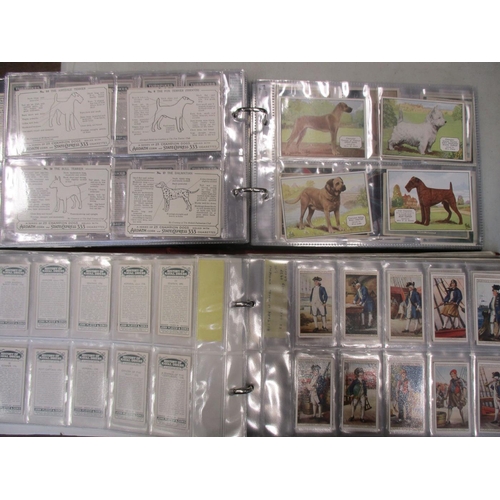 23 - Coln. of mainly complete sets, in albums, in variable cond., incl. Ardath Champion Dogs, Churchman R... 