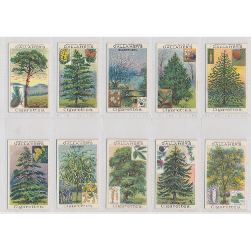 54 - Gallaher. 1912 Woodland Trees Series set, in good to very good cond., several have small corner faul... 