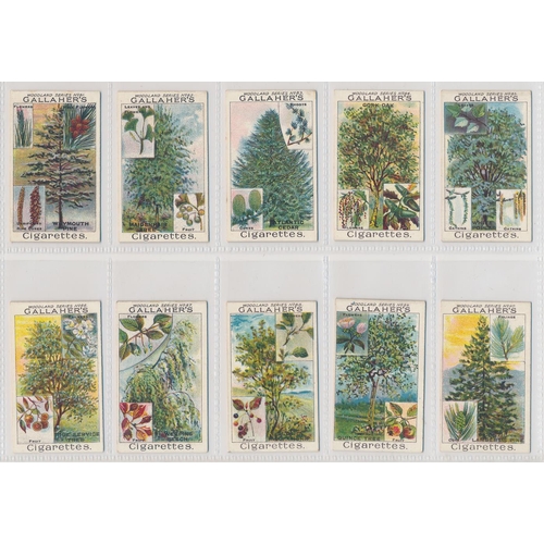 54 - Gallaher. 1912 Woodland Trees Series set, in good to very good cond., several have small corner faul... 