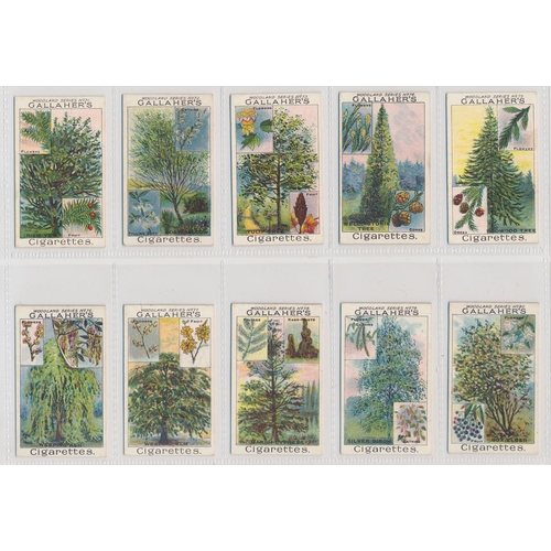 54 - Gallaher. 1912 Woodland Trees Series set, in good to very good cond., several have small corner faul... 