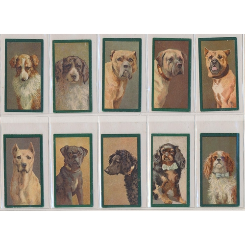 72 - Taddy. 1900 Dogs set, in fair to good cond., apart from one with a small area of damage to border, m... 