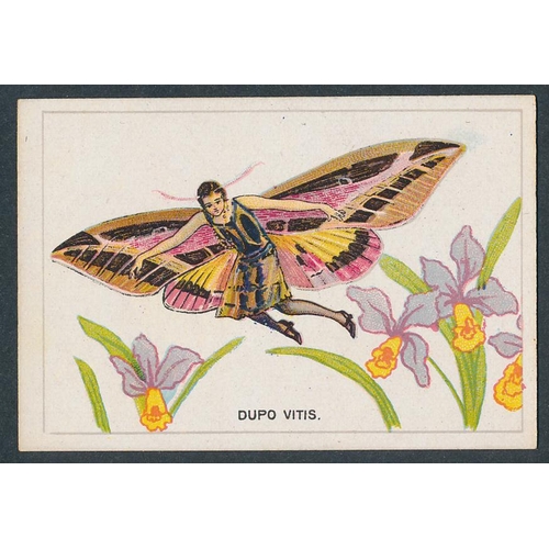 Lot 85        