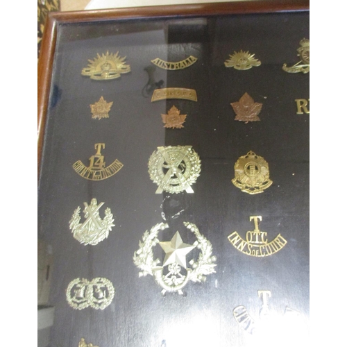 70 - Collection in large wood and glass frame of metal cap badges, shoulder titles etc, including QV 1st ... 