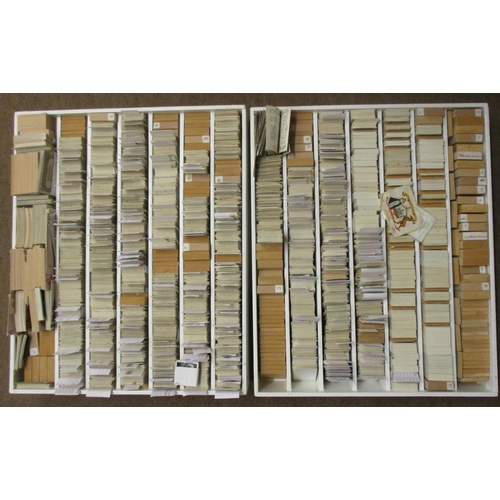 16 - Large coln. of complete and part sets, in albums and loose, in variable cond., incl. Carreras Cricke... 