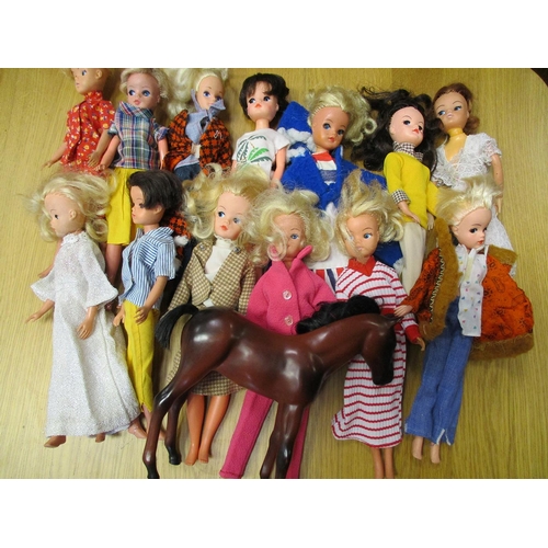 245 - Collection of boxed Sindy Pedigree items including stable/garage, bedroom extension, swimming pool, ... 