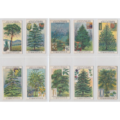 49 - Gallaher. 1912 Woodland Trees Series set, generally in good cond., with some better, apart from 10 p... 