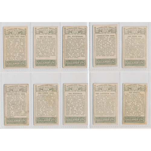 49 - Gallaher. 1912 Woodland Trees Series set, generally in good cond., with some better, apart from 10 p... 