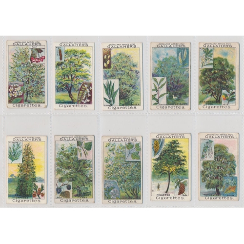 49 - Gallaher. 1912 Woodland Trees Series set, generally in good cond., with some better, apart from 10 p... 