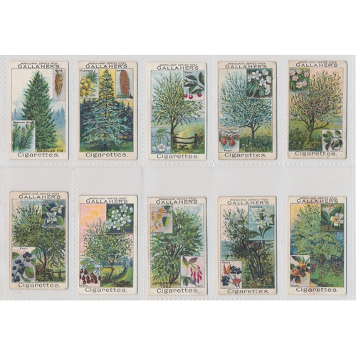 49 - Gallaher. 1912 Woodland Trees Series set, generally in good cond., with some better, apart from 10 p... 