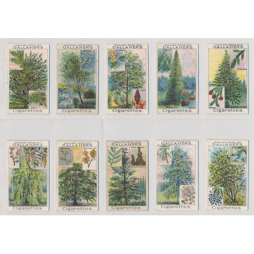 49 - Gallaher. 1912 Woodland Trees Series set, generally in good cond., with some better, apart from 10 p... 