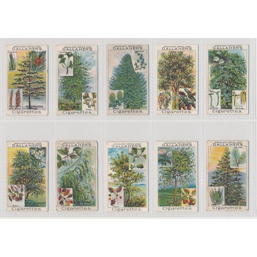 49 - Gallaher. 1912 Woodland Trees Series set, generally in good cond., with some better, apart from 10 p... 