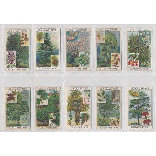 49 - Gallaher. 1912 Woodland Trees Series set, generally in good cond., with some better, apart from 10 p... 