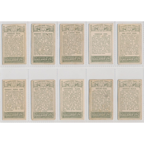 49 - Gallaher. 1912 Woodland Trees Series set, generally in good cond., with some better, apart from 10 p... 