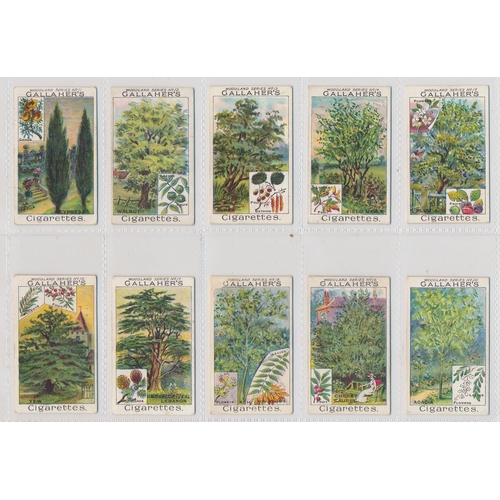 49 - Gallaher. 1912 Woodland Trees Series set, generally in good cond., with some better, apart from 10 p... 