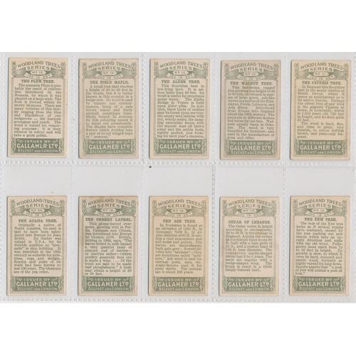 49 - Gallaher. 1912 Woodland Trees Series set, generally in good cond., with some better, apart from 10 p... 