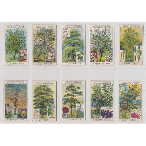 49 - Gallaher. 1912 Woodland Trees Series set, generally in good cond., with some better, apart from 10 p... 