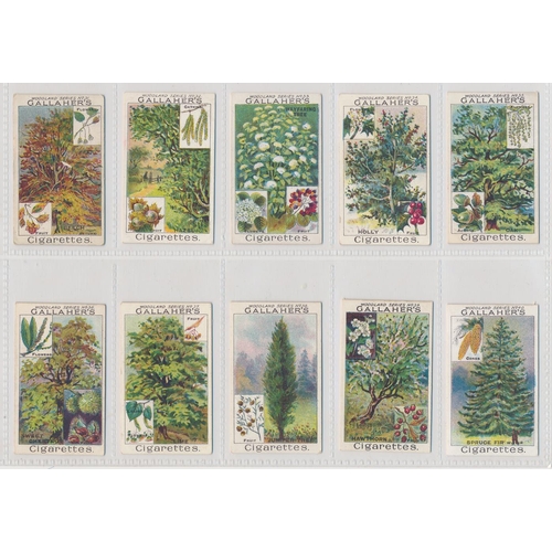 49 - Gallaher. 1912 Woodland Trees Series set, generally in good cond., with some better, apart from 10 p... 