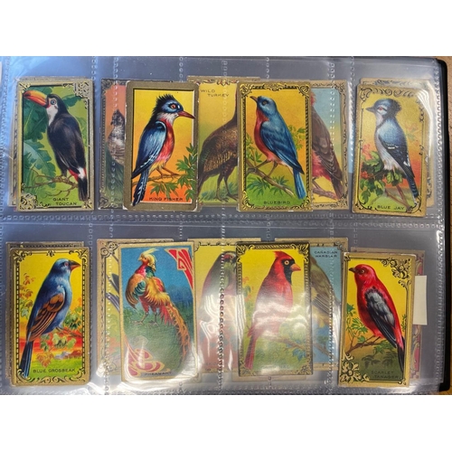39 - Album of complete bird related sets in mixed condition incl. Imperial Tobacco Co. of Canada 1923 Bri... 