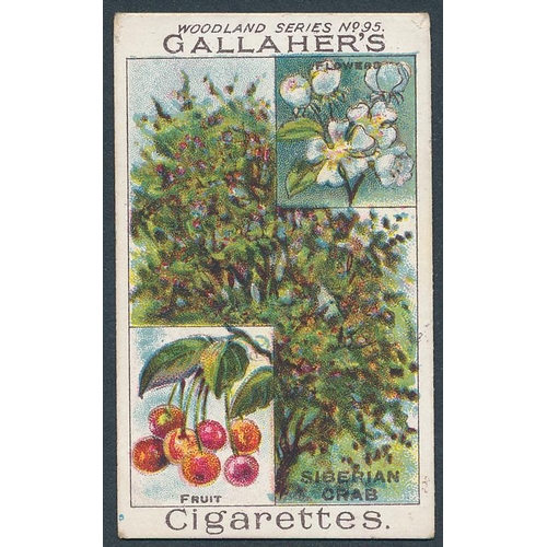 71 - Gallaher. 1912 Woodland Trees Series set, generally in good cond., with some better, apart from 10 p... 