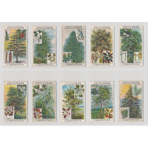 71 - Gallaher. 1912 Woodland Trees Series set, generally in good cond., with some better, apart from 10 p... 