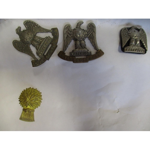 233 - Collection of mostly Scottish Regiments cap badges, shoulder titles, pin badges etc including Royal ... 