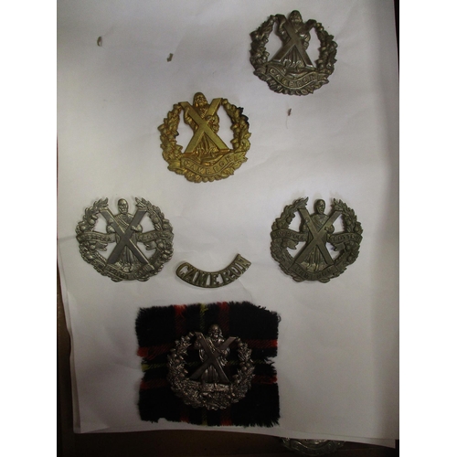 233 - Collection of mostly Scottish Regiments cap badges, shoulder titles, pin badges etc including Royal ... 