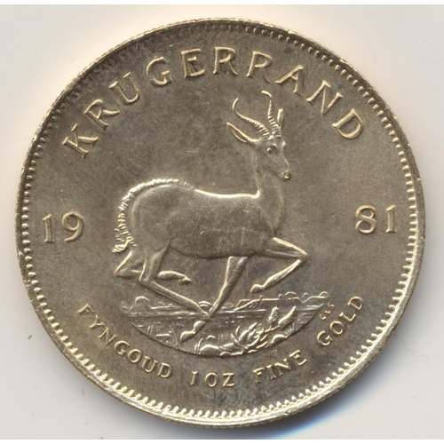 460 - IG lot – documents required. South Africa. 1981 Krugerrand about uncirculated. (Y)