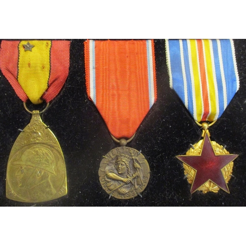 77 - Belgium. Collection of Belgian and French medals awarded to Colonel Armand Hopas, medals include Bel... 