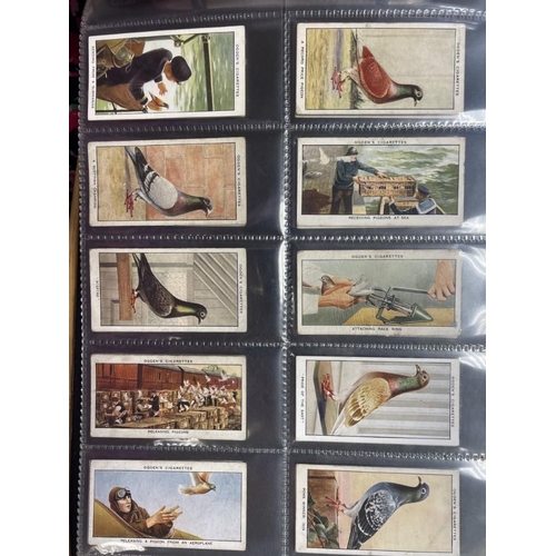 184 - Collection in album with complete sets from E&W Anstie Racing Series, Player's Derby and Grand Natio... 