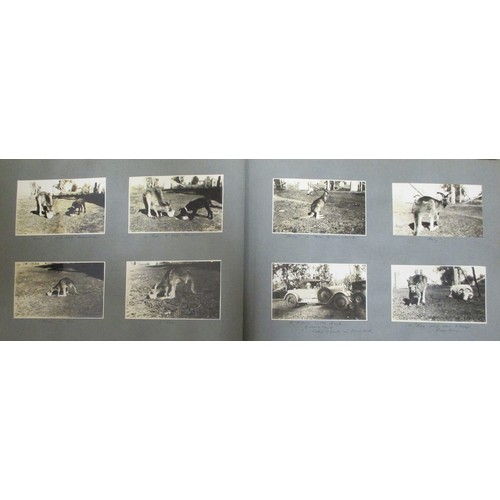 379 - Ephemera. Foreign Photographs. 2 large hard back albums of Australia and New Zealand, one dated 1927... 