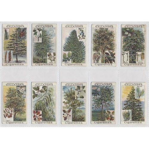 137 - Gallaher. 1912 Woodland trees series complete set, generally very good to excellent condition in pla... 