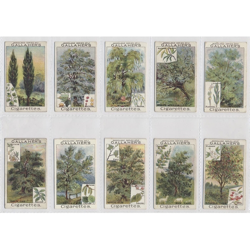 137 - Gallaher. 1912 Woodland trees series complete set, generally very good to excellent condition in pla... 