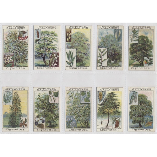 137 - Gallaher. 1912 Woodland trees series complete set, generally very good to excellent condition in pla... 