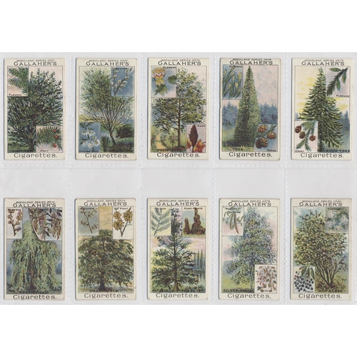 137 - Gallaher. 1912 Woodland trees series complete set, generally very good to excellent condition in pla... 