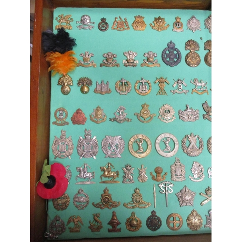 101 - Collection of cap badges with odd arm badge etc mounted on foam board in large wooden frame (91cm x ... 