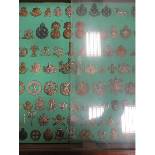 101 - Collection of cap badges with odd arm badge etc mounted on foam board in large wooden frame (91cm x ... 